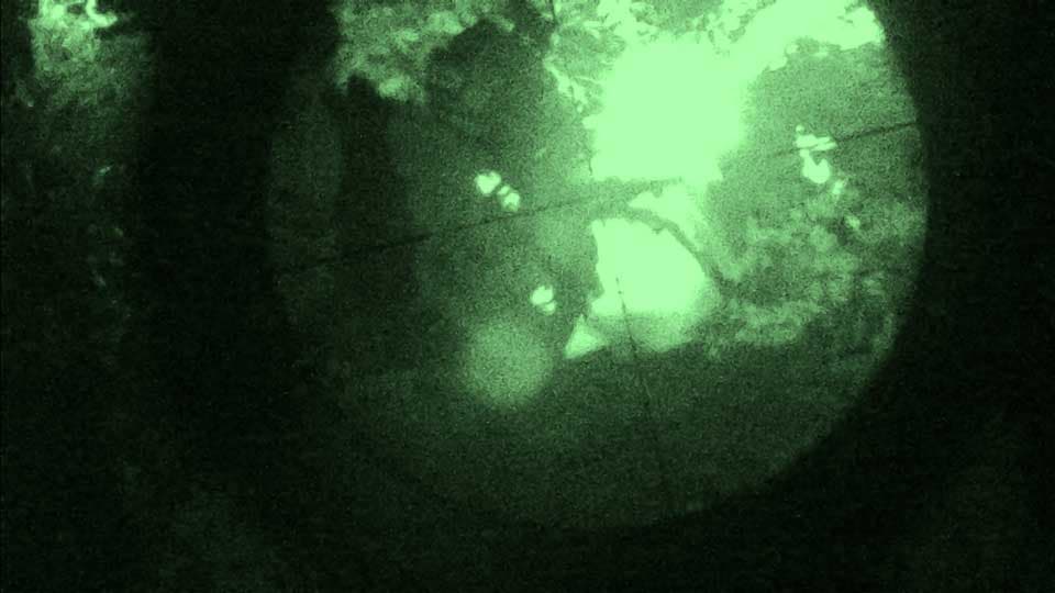 NVG62