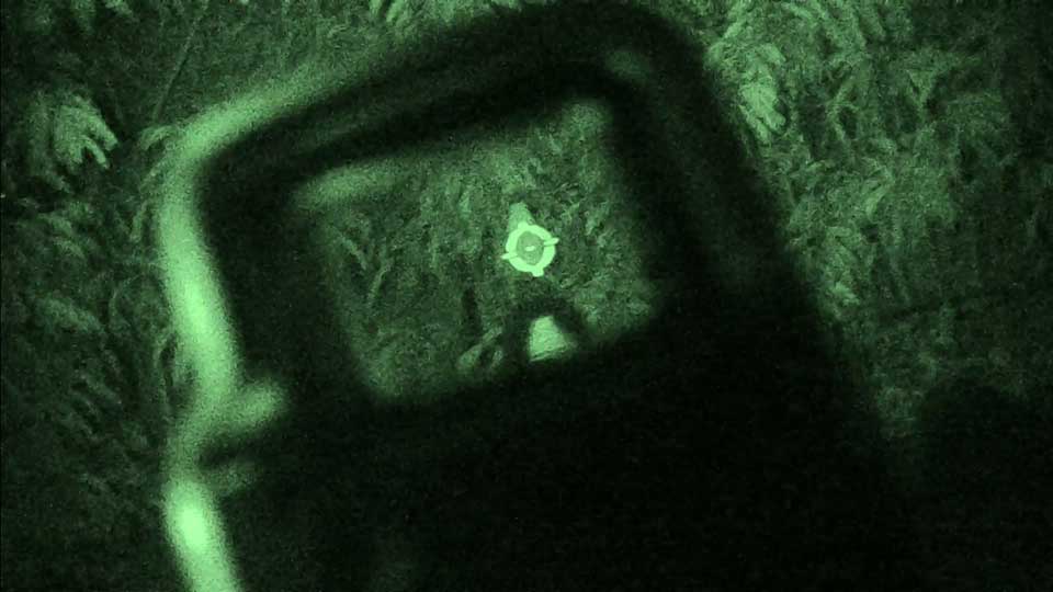 NVG62